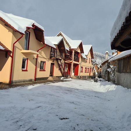 Vila Vladut Zarnesti Exterior photo