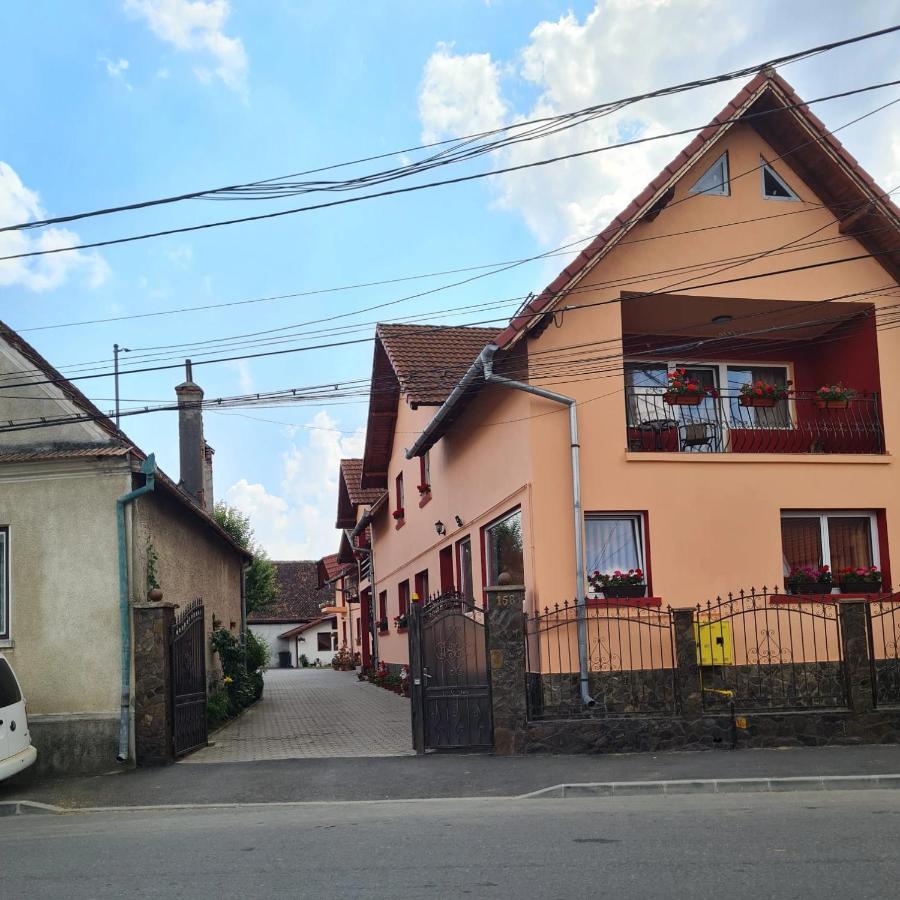 Vila Vladut Zarnesti Exterior photo