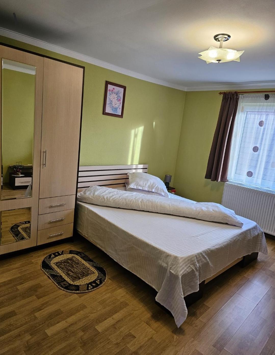 Vila Vladut Zarnesti Exterior photo