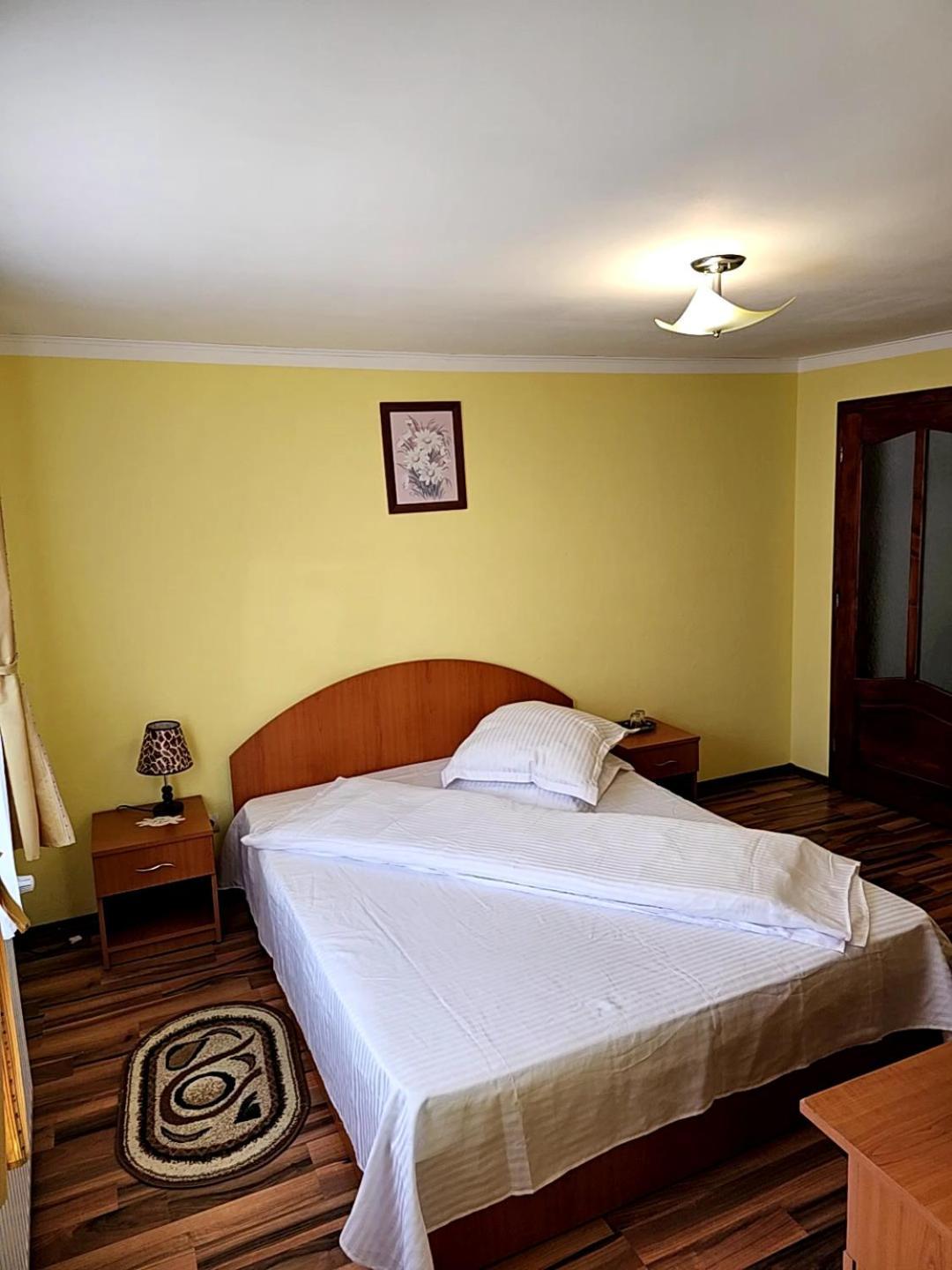 Vila Vladut Zarnesti Exterior photo