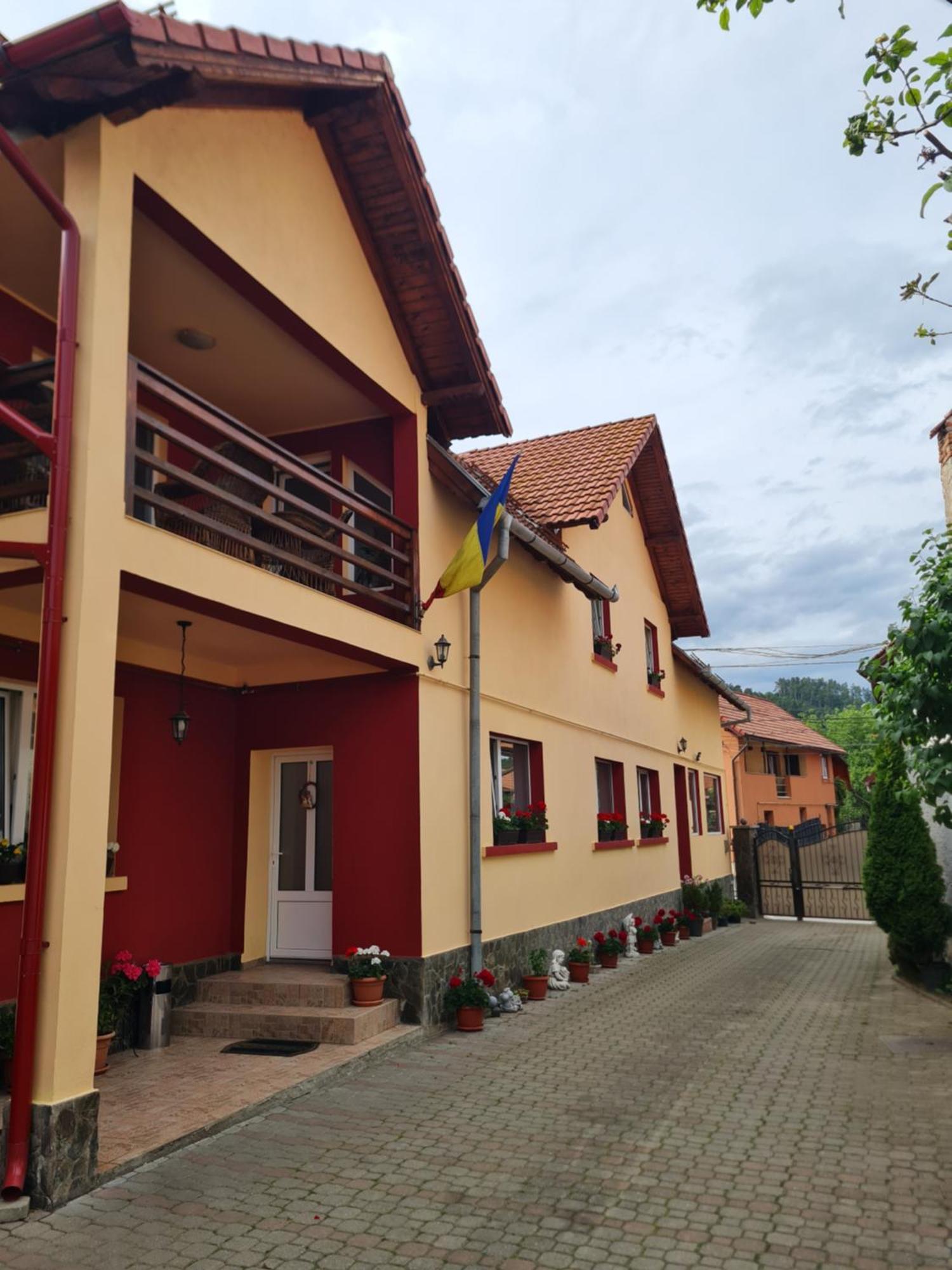 Vila Vladut Zarnesti Exterior photo